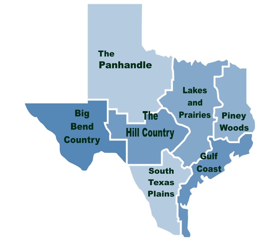 About Us - Texas Tax Sales